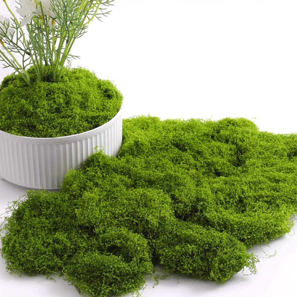 Eternal Life Moss DIY Crafts G - Sphagnum Moss Dry recension och pris
