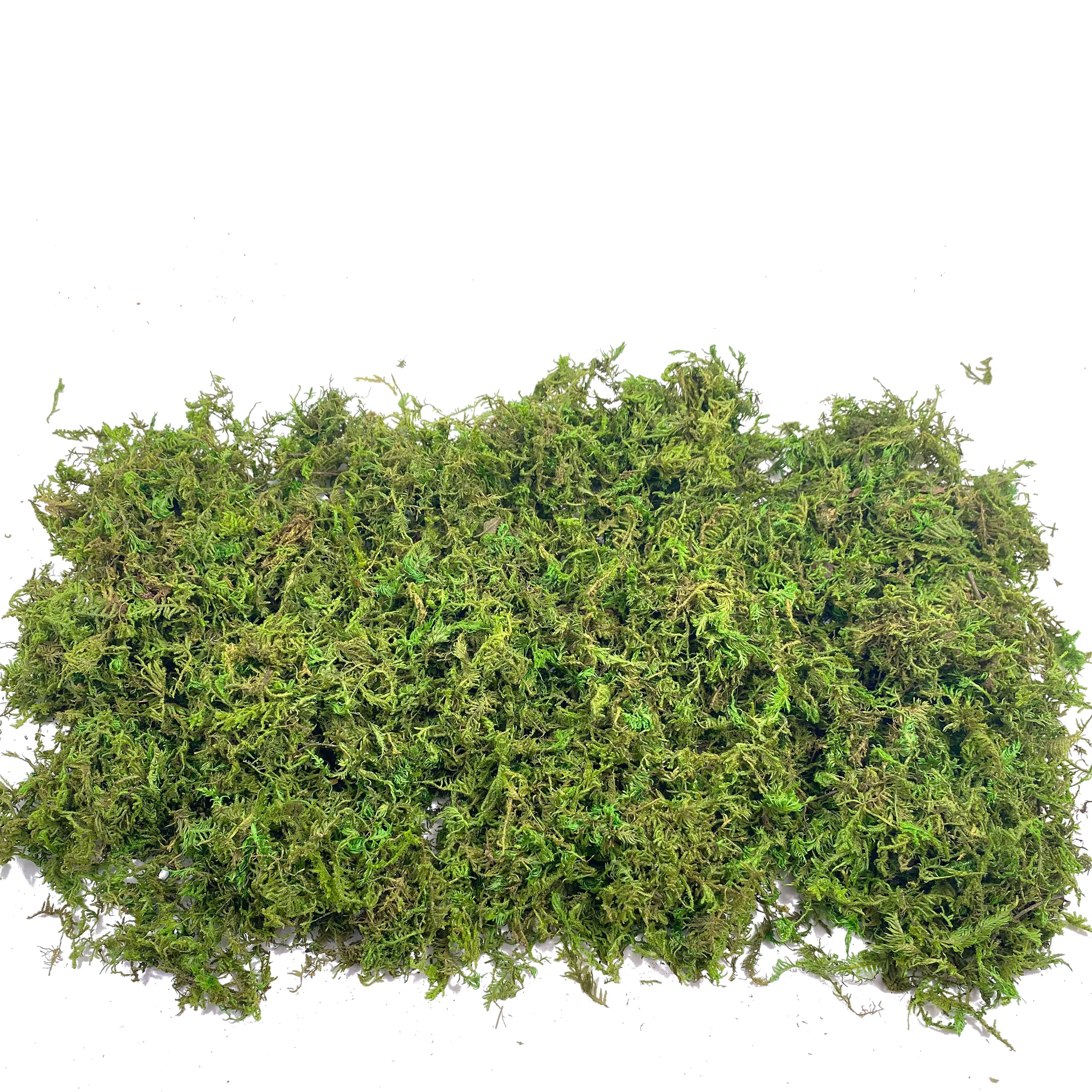 Fake Moss Artificial Moss for  - Sphagnum Moss Dry recension och pris