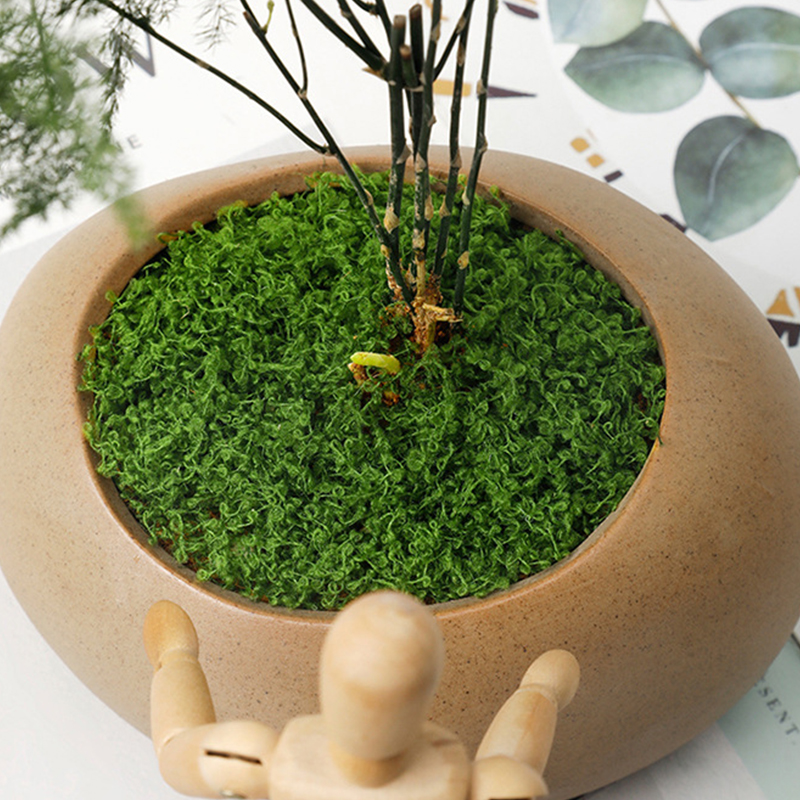 20g/0.7oz Artificial Garden Fa - Sphagnum Moss Dry recension och pris