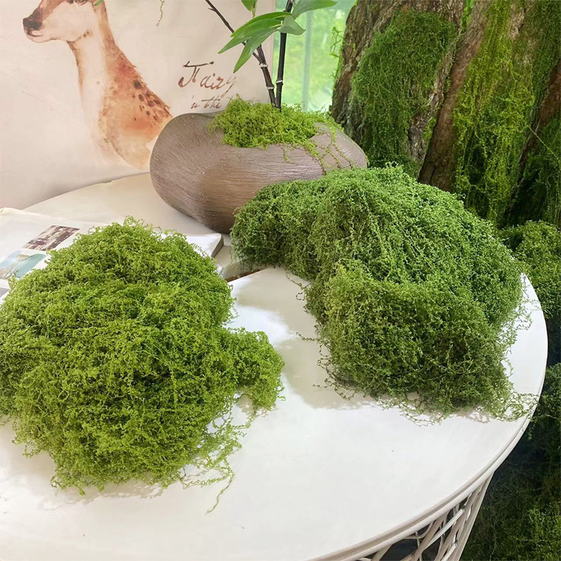20g/0.7oz Artificial Garden Fa - Sphagnum Moss Dry recension och pris