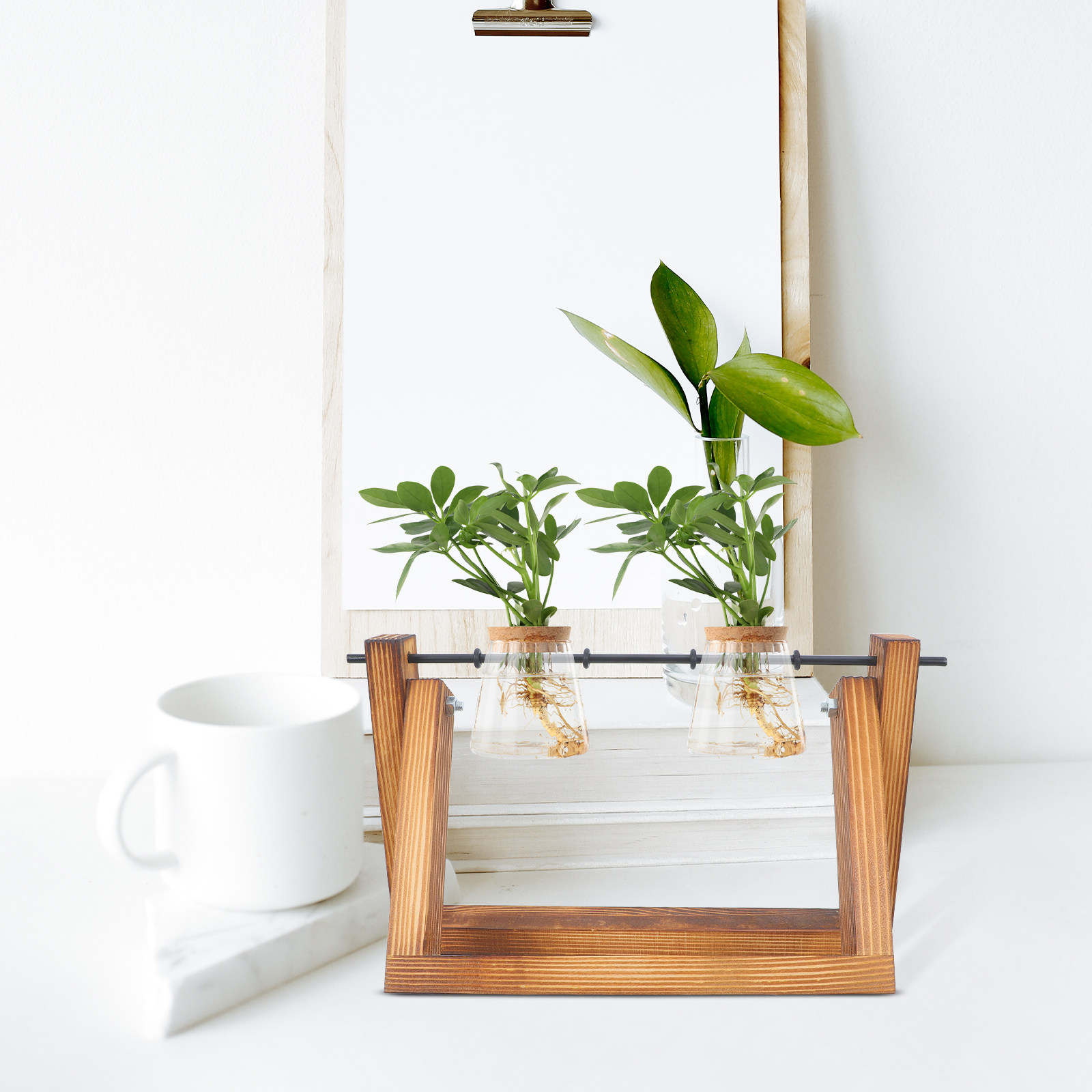 Hydroponic Propagating Jars Ho - Propagation Station Vase recension och pris