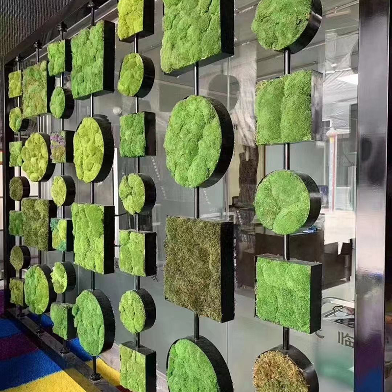 40/20g Artificial Immortal Mos - Sphagnum Moss Dry recension och pris