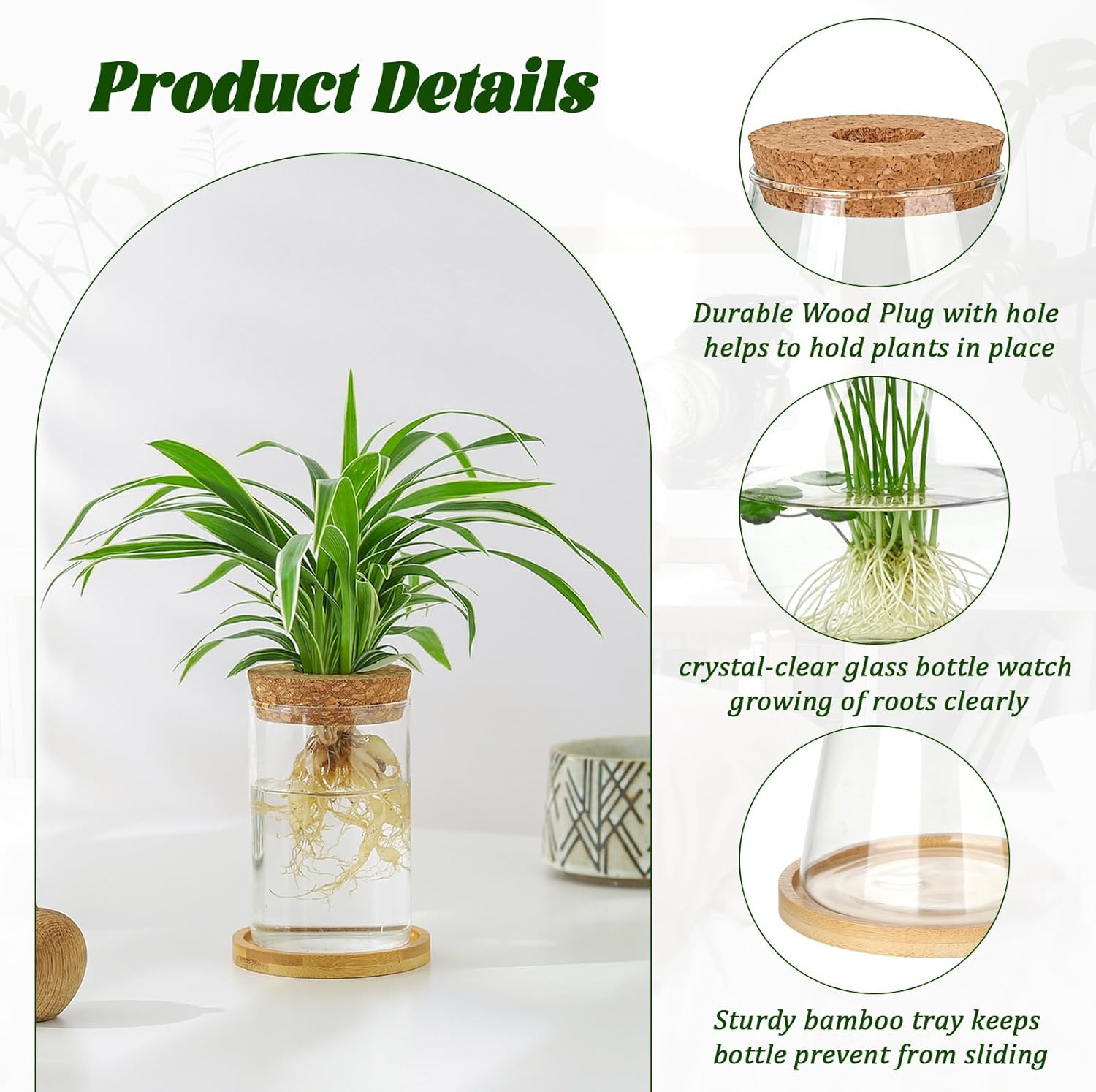 6 Pcs Plants Propagation Stati - Propagation Station Vase recension och pris