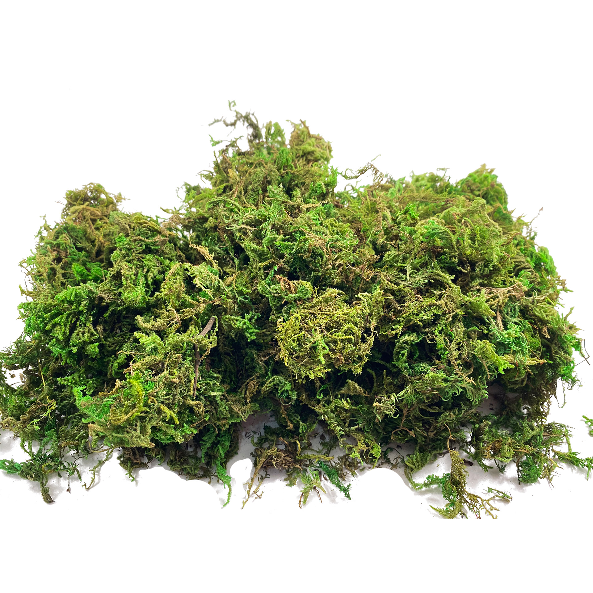Artificial Fake Moss, Craft Mo - Sphagnum Moss Dry recension och pris