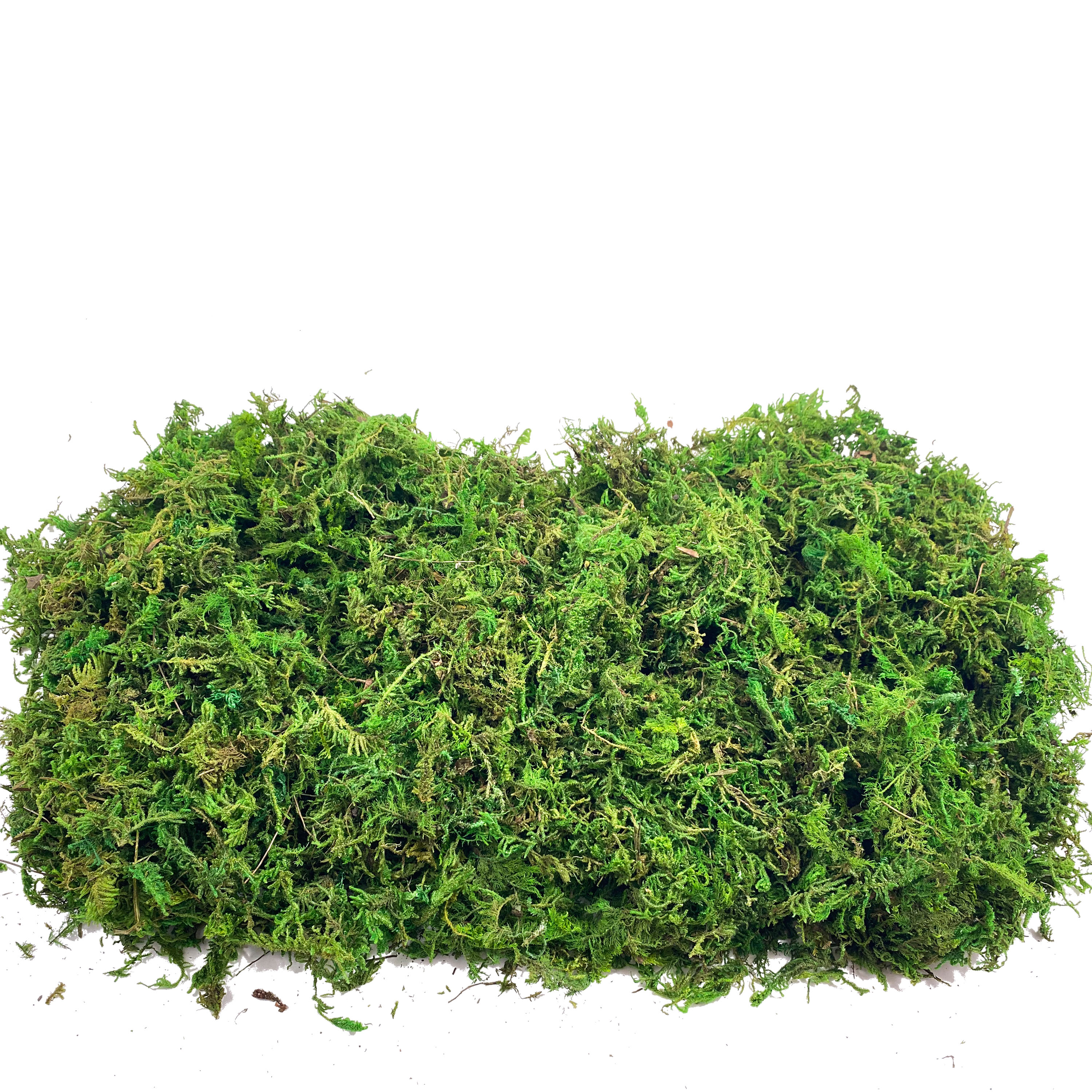 Artificial Fake Moss, Craft Mo - Sphagnum Moss Dry recension och pris