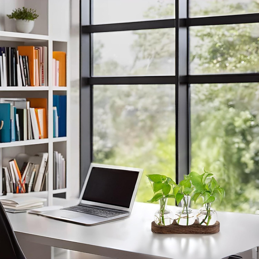 Desktop Plant Propagation Stat - Propagation Station Vase recension och pris