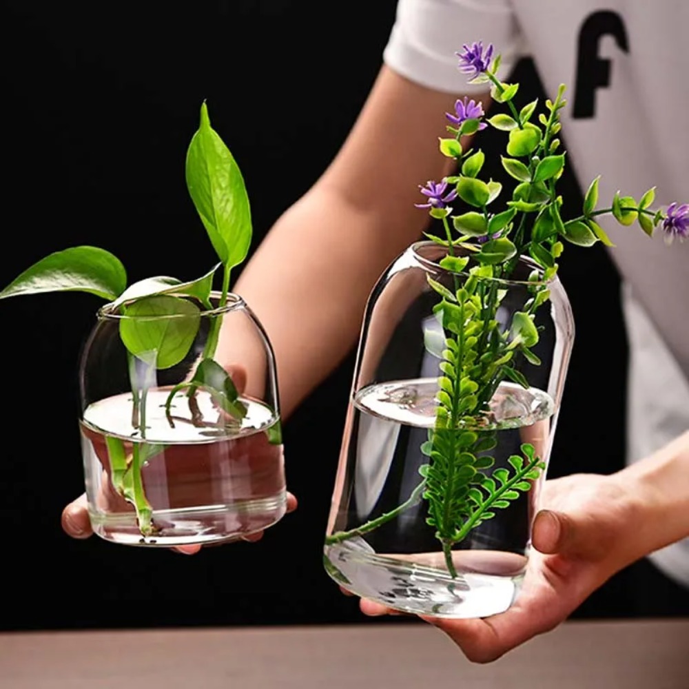 Creative Hydroponic Plant Glas - Propagation Station Vase recension och pris