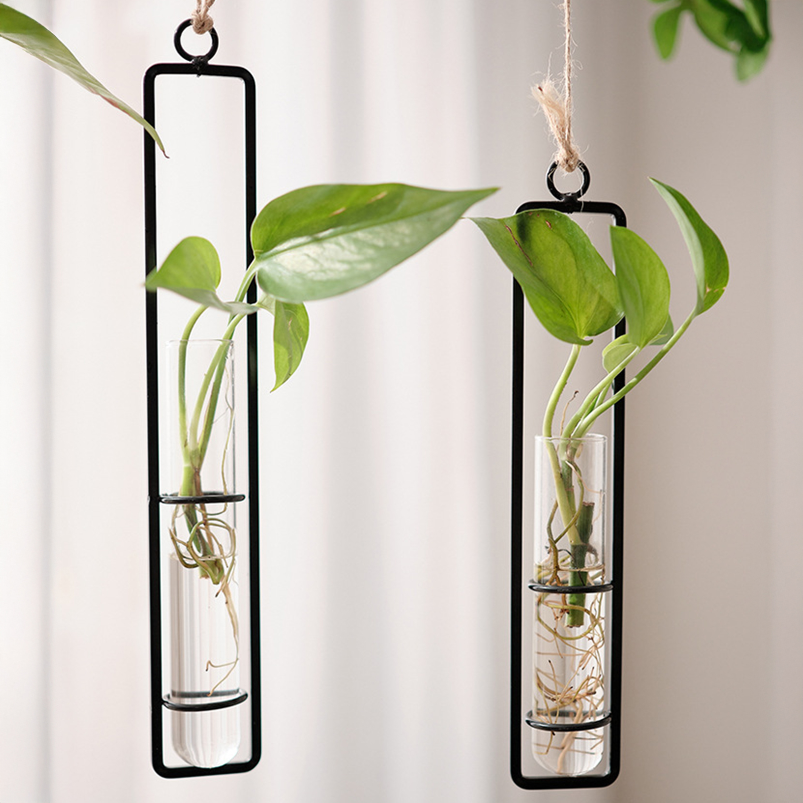 Wall Hanging Glass Vase Europe - Propagation Station Vase recension och pris