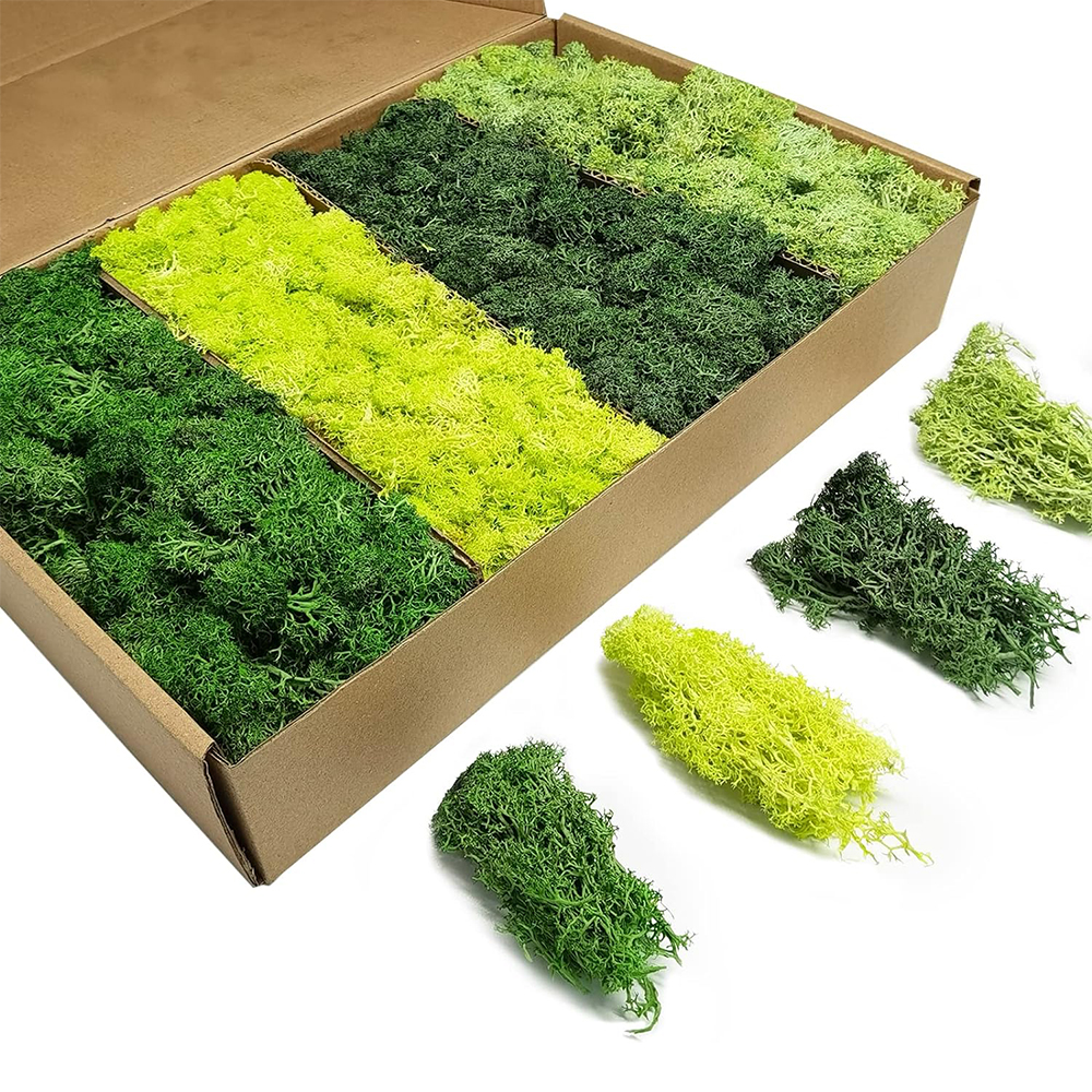 Artificial Green Plants Eterna - Sphagnum Moss Dry recension och pris