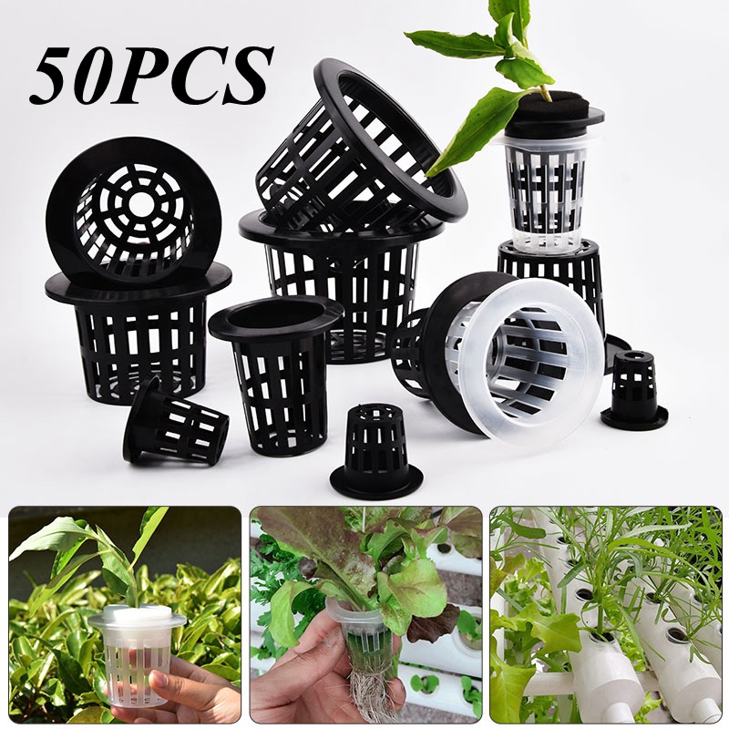 50Pcs Black White Soilless Mes - Self Watering Insert recension och pris