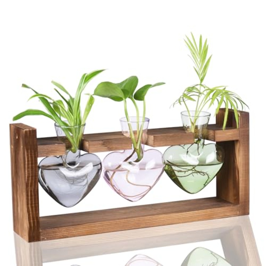 3-Heart Plant Terrarium Kit -  - Propagation Station Vase recension och pris
