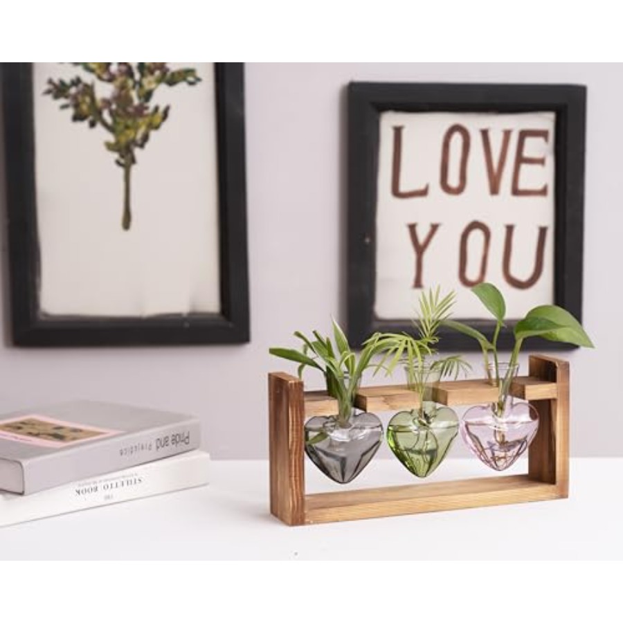 3-Heart Plant Terrarium Kit -  - Propagation Station Vase recension och pris