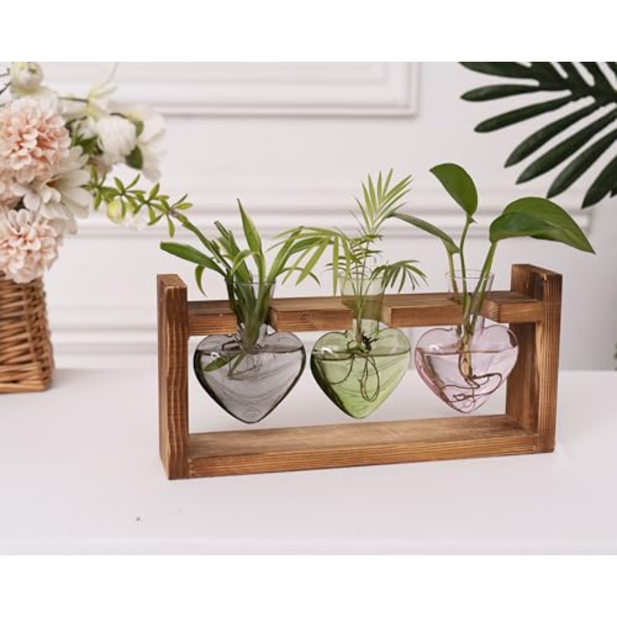 3-Heart Plant Terrarium Kit -  - Propagation Station Vase recension och pris