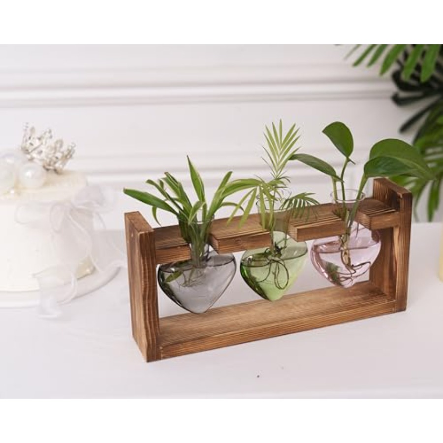 3-Heart Plant Terrarium Kit -  - Propagation Station Vase recension och pris