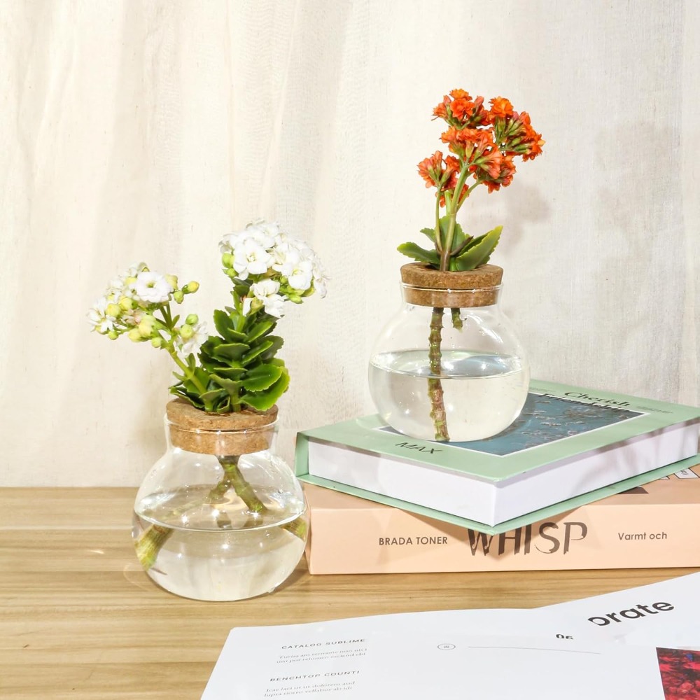 Hydroponic Plant Propagation S - Propagation Station Vase recension och pris