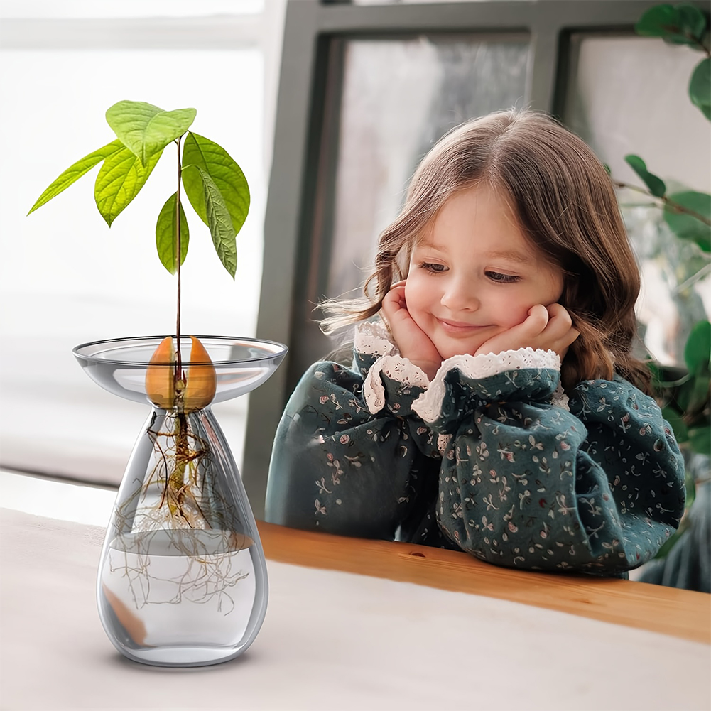 Avocado Seed Starter Vase Tran - Propagation Station Vase recension och pris