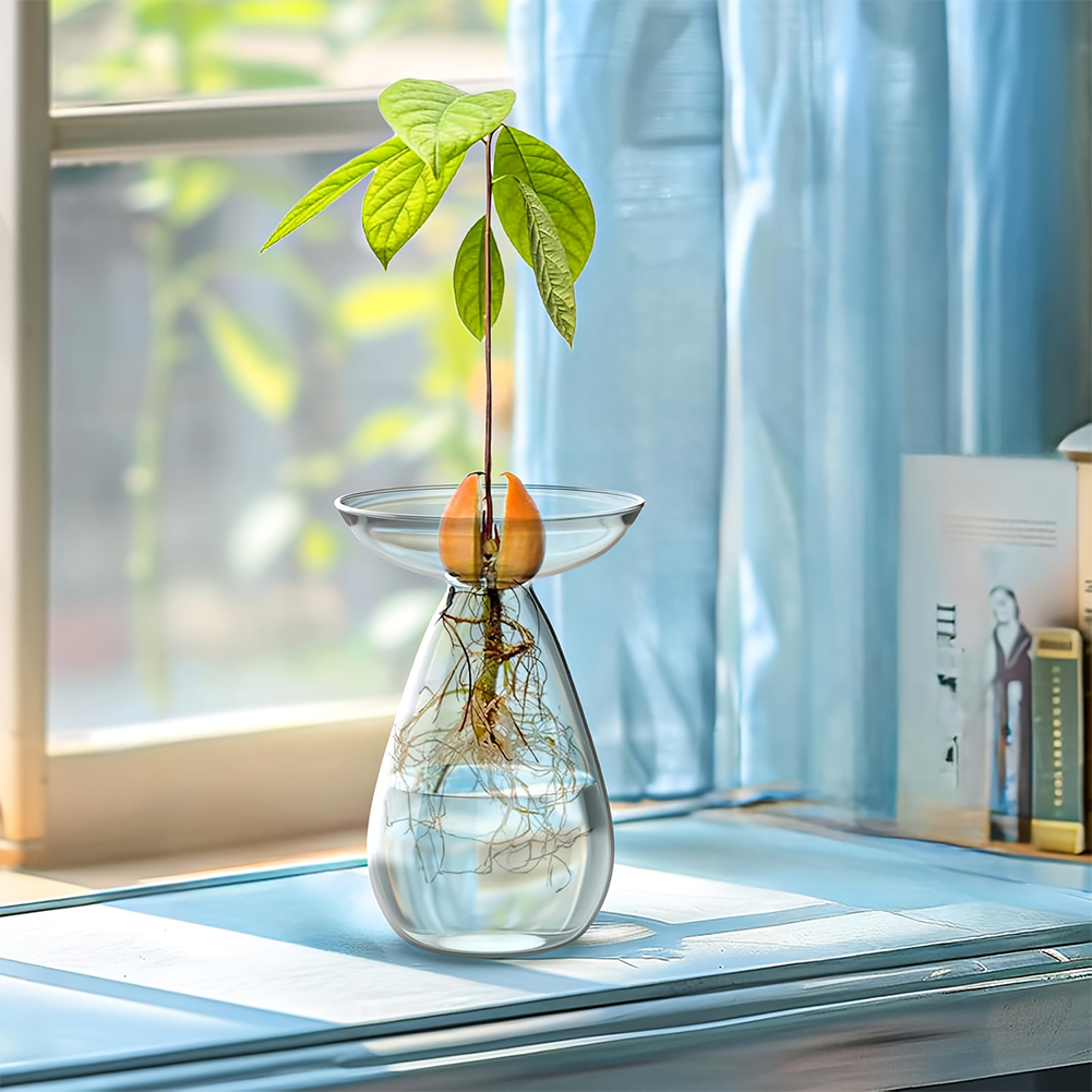 Avocado Seed Starter Vase Tran - Propagation Station Vase recension och pris