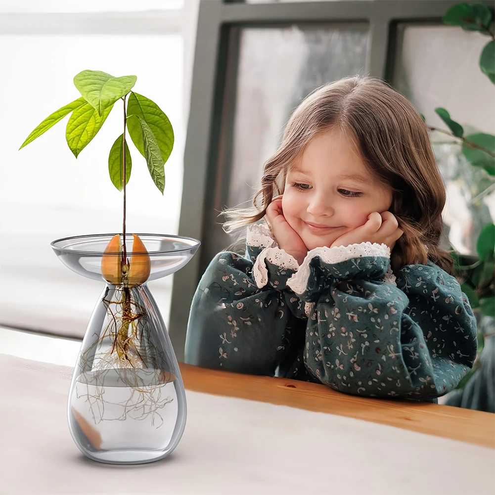 Avocado Seed Starter Vase Tran - Propagation Station Vase recension och pris
