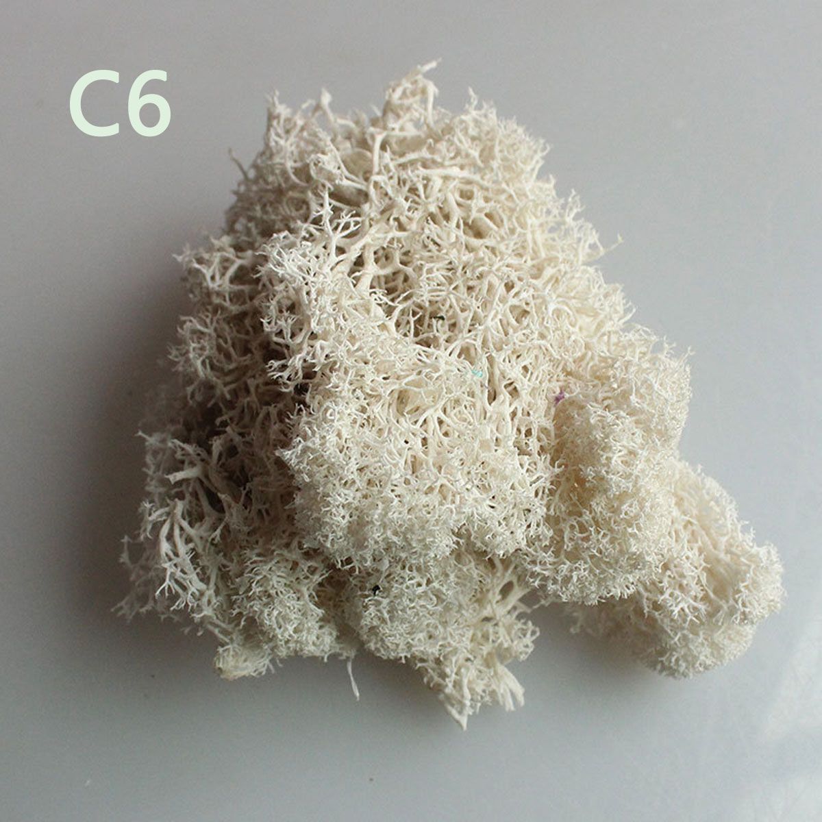Colorful DIY Home Decor Christ - Sphagnum Moss Dry recension och pris