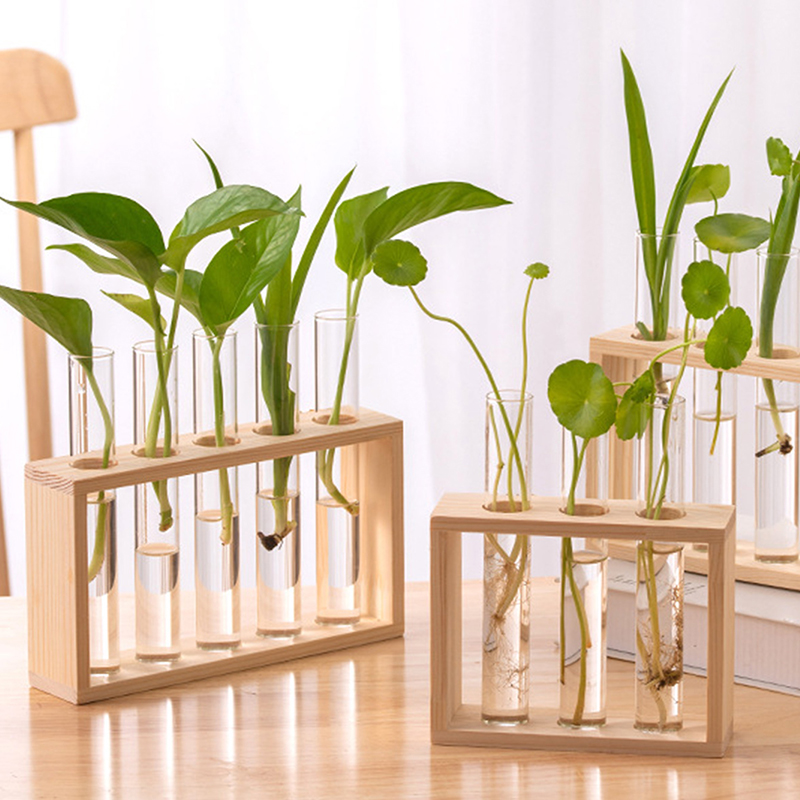Hydroponic Plants Container wi - Propagation Station Vase recension och pris