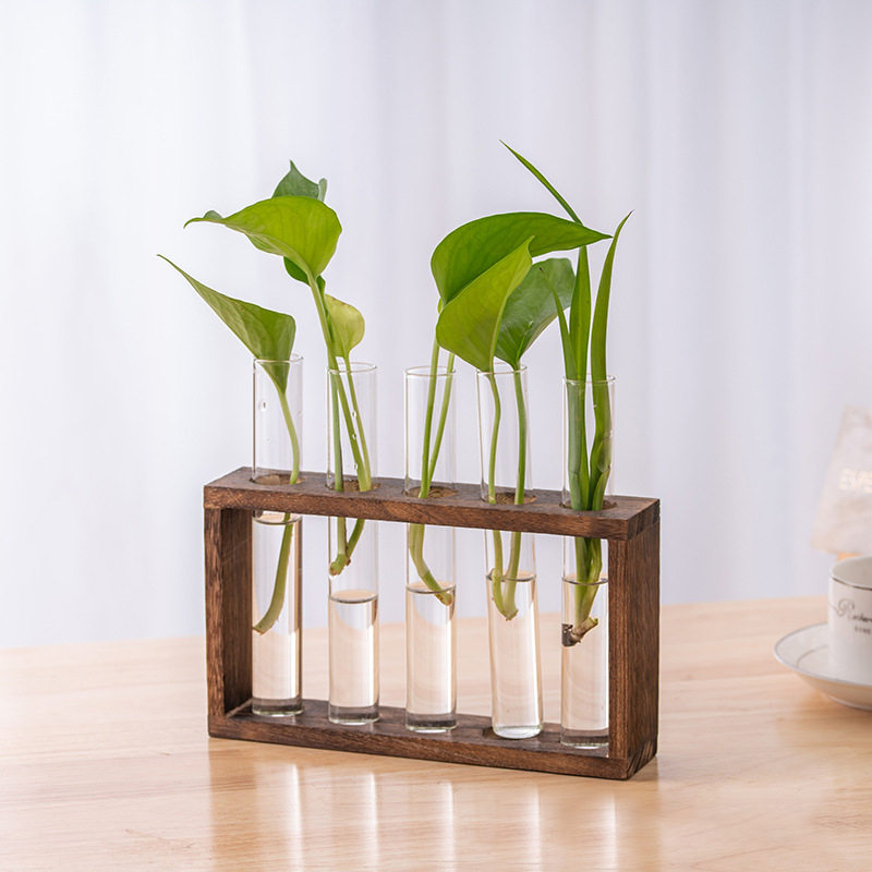 Hydroponic Plants Container wi - Propagation Station Vase recension och pris